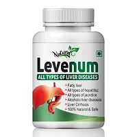 Levenum Herbal Capsules For Less Burden On Diseased Liver 100% Ayurvedic (60 Capsules)-thumb1