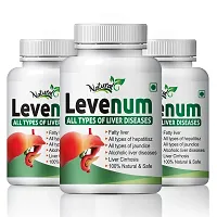 Levenum Herbal Capsules For Less Burden On Diseased Liver 100% Ayurvedic (180 Capsules)-thumb1