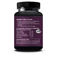 Curve Plus Herbal Capsule For Works As A Natural Conditioner To Revitalize Hair 100% Ayurvedic Pack Of 2-thumb2