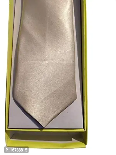 Navkar Crafts Men Premium Formal Neck Tie For Men (Beige)-thumb2