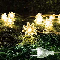 Meneon 36 Led Lotus Flower String Light, 8 Meter Light, Romantic Flower Fairy Light, Suitable for Bedroom, Diwali Decor, Christmas Tree, New Year, Garden Decoration, Diwali Lights ? Warm White-thumb2