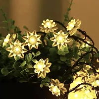 Meneon 36 Led Lotus Flower String Light, 8 Meter Light, Romantic Flower Fairy Light, Suitable for Bedroom, Diwali Decor, Christmas Tree, New Year, Garden Decoration, Diwali Lights ? Warm White-thumb1