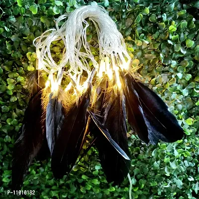 Meneon 20 Led Black Feather String Lights, Fluffy Feathers Garland, Plug in Cable, 4 Meter Fairy String Lights Hanging for Wedding Party Home Wall Decor Decoration (Warm White)