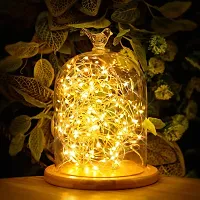 Meneon LED Fairy Lights 5 Meter, 16.4ft 50 LEDs Battery Operated String Lights Waterproof (Warm White) Firefly Lights for Indoor, Outdoor, Festivals, Bedroom, Patio, Wedding Party, Christmas Decorations-thumb4