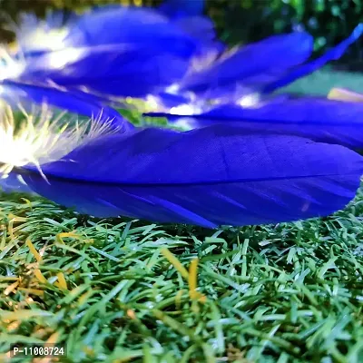 Infiprises 20 Led Blue Feather String Lights, Soft Feathers, 4 Meter Length Fairy String Lights Hanging for Diwali Decoration Christmas Decor Bedroom Garden Mandir Festival Lights ? Plug In (Warm White)-thumb5