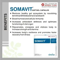 Somavit/pain relief/immunity booster capsule-thumb1