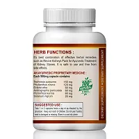 Stone Crash Herbal Capsules For Treatment Herbal Capsules For Stone 100% Ayurvedic Pack Of 2-thumb2