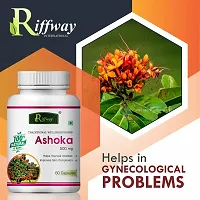 Ashoka Herbal Capsules For Female Reproductive Health  Menstrual Problems 100% Ayurvedic Pack Of 1-thumb4