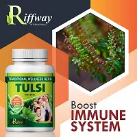 Tulsi Herbal Capsules For Antioxidant, Support Immunity 100% Ayurvedic Pack Of 1-thumb4