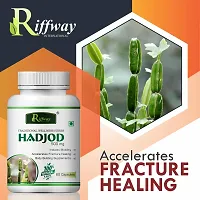 Hadjod Herbal Capsules For Bone Strengthening Fractured Bone Repair Hairline Fractures 100 Ayurvedic Pack Of 3-thumb4