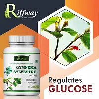 Gymnema Sylvestre Herbal Capsules For Weight Management  Regulates Blood Sugar Level 100% Ayurvedic Pack Of 1-thumb4