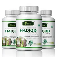 Hadjod Herbal Capsules For Bone Strengthening Fractured Bone Repair Hairline Fractures 100 Ayurvedic Pack Of 3-thumb1