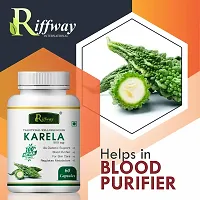 Karela Herbal Capsules For Helps In Treating Diabetes  Blood Purifier 100% Ayurvedic Pack Of 2-thumb4