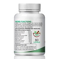 Levenum Herbal Capsules For Helps Reduces Liver Care 100% Ayurvedic Pack Of 2-thumb2