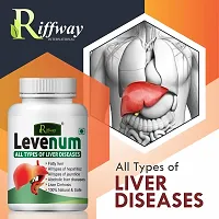 Levenum Herbal Capsules For Helps Reduces Liver Care 100% Ayurvedic Pack Of 1-thumb4