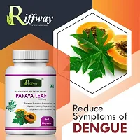 Papaya Leaf Herbal Capsules For Treats Dengue And Malaria 100% Ayurvedic Pack Of 1-thumb4