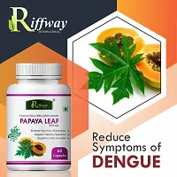 Papaya Leaf Herbal Capsules For Treats Dengue And Malaria 100% Ayurvedic Pack Of 3-thumb4