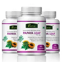 Papaya Leaf Herbal Capsules For Treats Dengue And Malaria 100% Ayurvedic Pack Of 3-thumb1