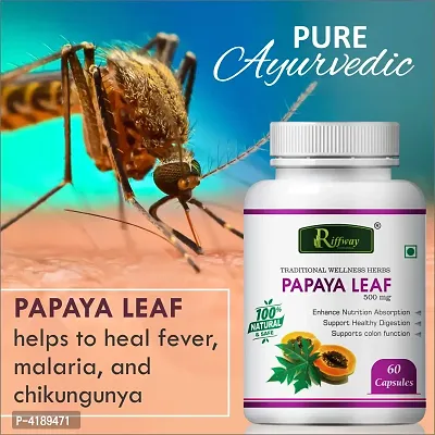 Papaya Leaf Herbal Capsules For Treats Dengue And Malaria 100% Ayurvedic Pack Of 1-thumb0