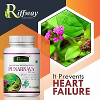 Punarnava Herbal Capsules For Diuretic Kidney Health In Urinary Infection 100% Ayurvedic Pack Of 1-thumb4