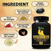 Express Big Herbal Capsules For Helps to Maintain Your Sexual Life-  30 Capsules-thumb1