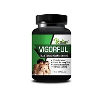 Vigor Full Herbal Capsules and Male Pro Oil For Helps in sustaining the erection for a longer time - 15 Capsules, 15 ML-thumb1