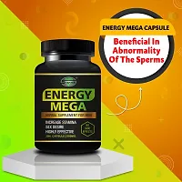 Energy Mega Herbal Capsules For Male Enhancement Capsule For Increase Drive, Stamina-thumb2