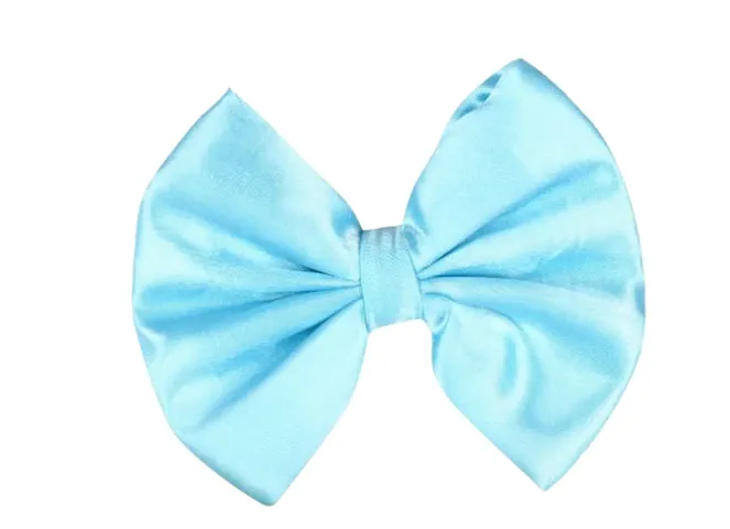 Fancy Satin Silk Hair Bow Clips For Girls And Women