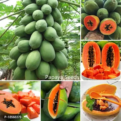 Papaya seeds sweet and big (  100 seeds )