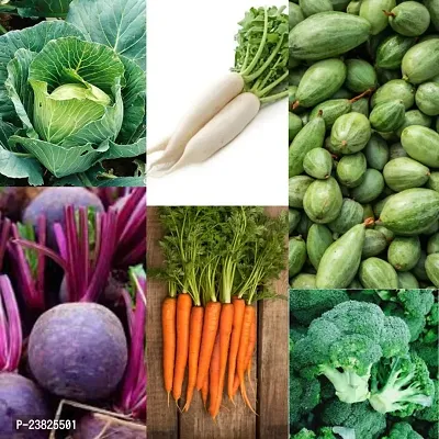 Winter vegetable seeds hybrid ( 100 seeds )