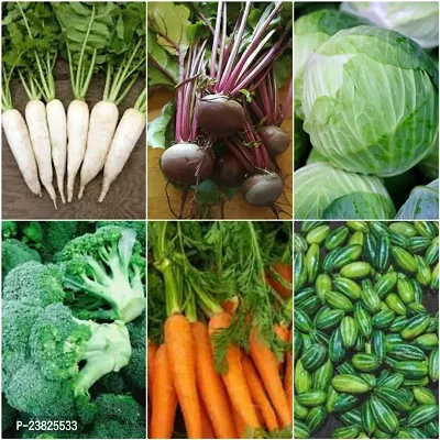Vegetable seeds for winter ( 100 seeds )-thumb0