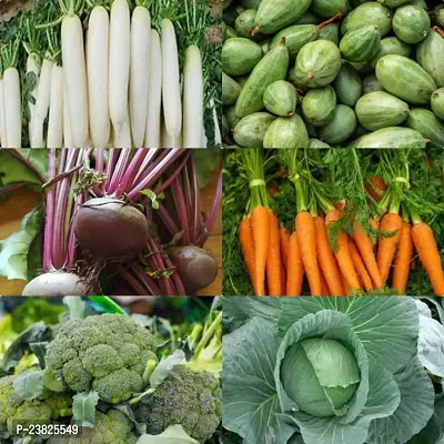 Winter vegetable seeds for home garden ( 150 seeds )