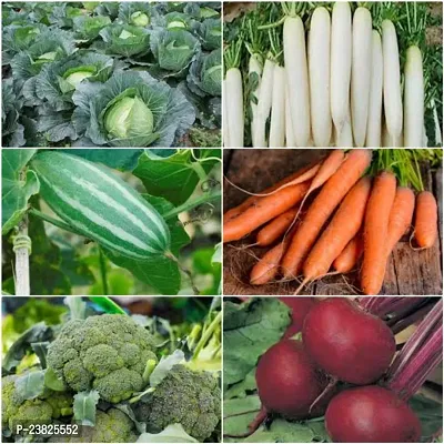 Winter vegetable seeds combo pack ( 150 seeds )-thumb0