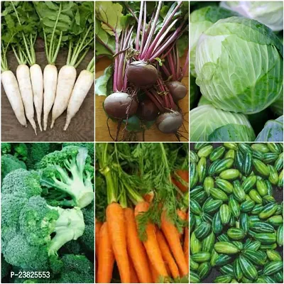 Winter vegetable seeds for gardening ( 150 seeds )-thumb0