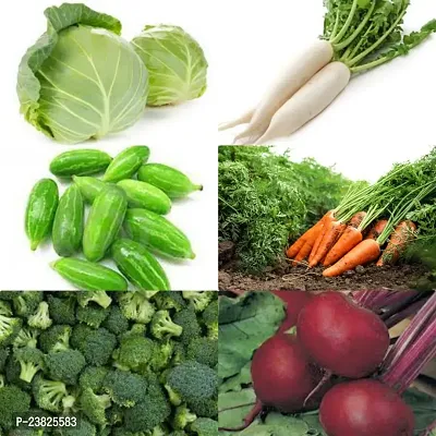 Winter vegetable seeds ( 200 seeds )