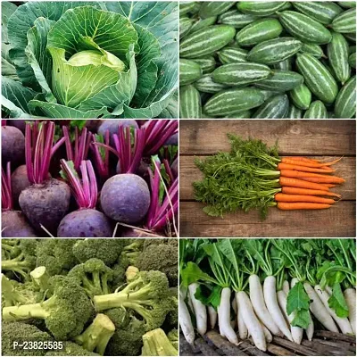 Winter vegetable seeds hybrid ( 200 seeds )