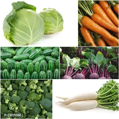 Winter vegetable seeds combo ( 200 seeds )