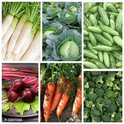 Winter vegetable seeds for home gardening ( 200 seeds )