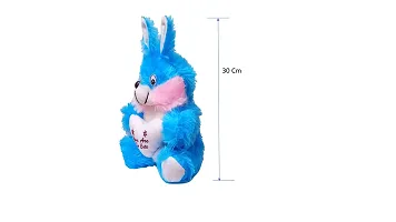 Styler Bunny Soft Toy Blue With Pink Color 30 Cm-thumb1