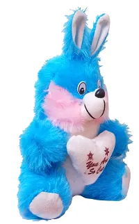 Styler Bunny Soft Toy Blue With Pink Color 30 Cm-thumb2