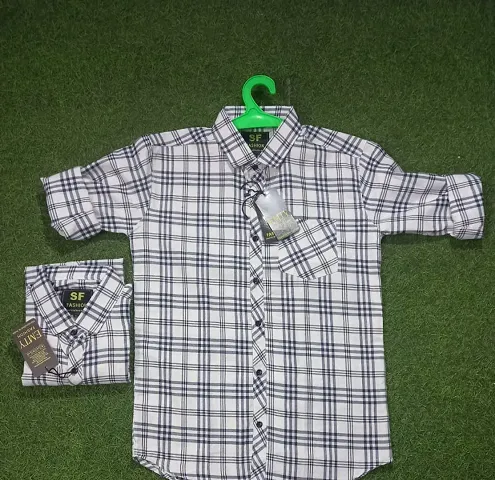 Classic Checked Casual Shirt For Men