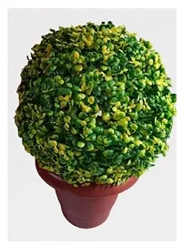 Artificial Topiary  ball Coin leaf Without Pot-thumb1