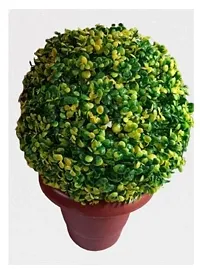 Artificial Combo of Topiary ball Coin leaf Without Pot-thumb2