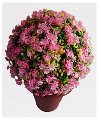 Artificial Topiary ball Pink Floral Without Pot-thumb1
