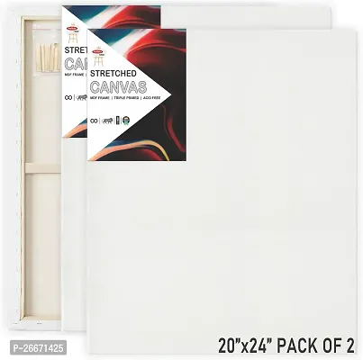 Variety Canvas 20 x 24 STRETCHED CANVAS Cotton Medium Grain Stretched Canvas Board, Primed Canvas Board, Pre Stretched Canvas, Board Canvas  Set of 2   PURE WHITE-thumb0