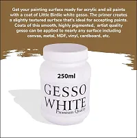 PANTONIC GESSO WHITE 250 ML White Gesso for Oil Painting, Paint Formulations, Canvas (Semi-liquid 250 ml)-thumb2