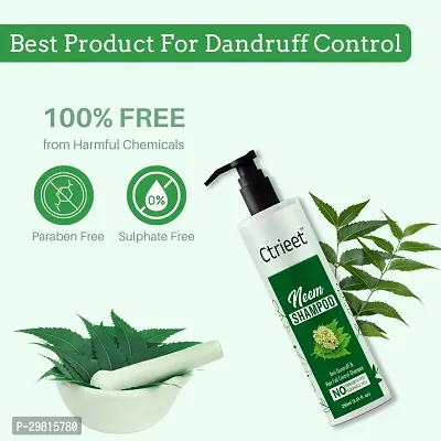 Natural Hair Care Anti Dandruff Shampoo-thumb3