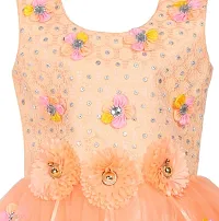 Girls Beautiful Funky Net Frock For Festive  Party Wear-thumb2