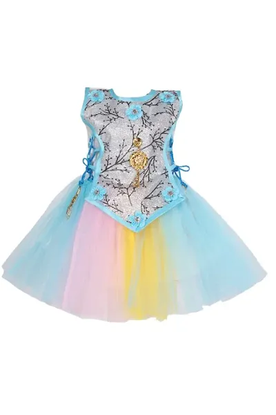 Baby Girls Funky Cutei Net Frock For Festive Party Wear