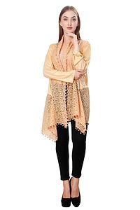 Alluring Beige Net Solid Straight Shrug For Women-thumb4